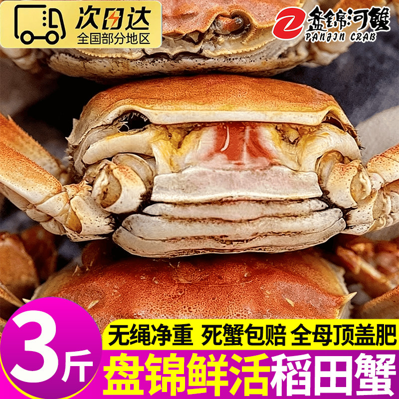 盘锦河蟹鲜活全母蟹活蟹溜达蟹现捕稻田蟹大闸蟹水产精美礼盒团购