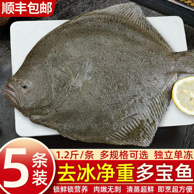 多宝鱼鲜活冷冻无刺鱼比目鱼