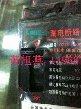 漏电DZ15LE-100/2P断路器