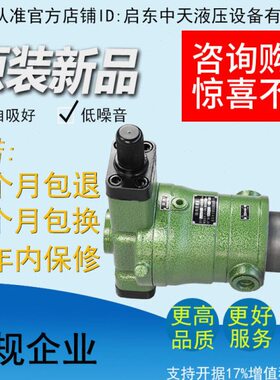 10YCY/25YCY/40MCY/63YCY/80YCY/100YCY/160YCY14-1B启东柱塞油泵