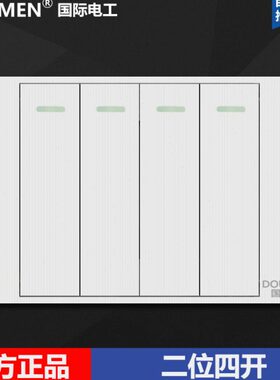 国际电工118型暗装白色拉丝组合开关插座面板二位小四开双控开关