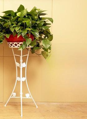 欧式花架铁多层室内客厅阳台储物架Pothos花盆架落地家居地板