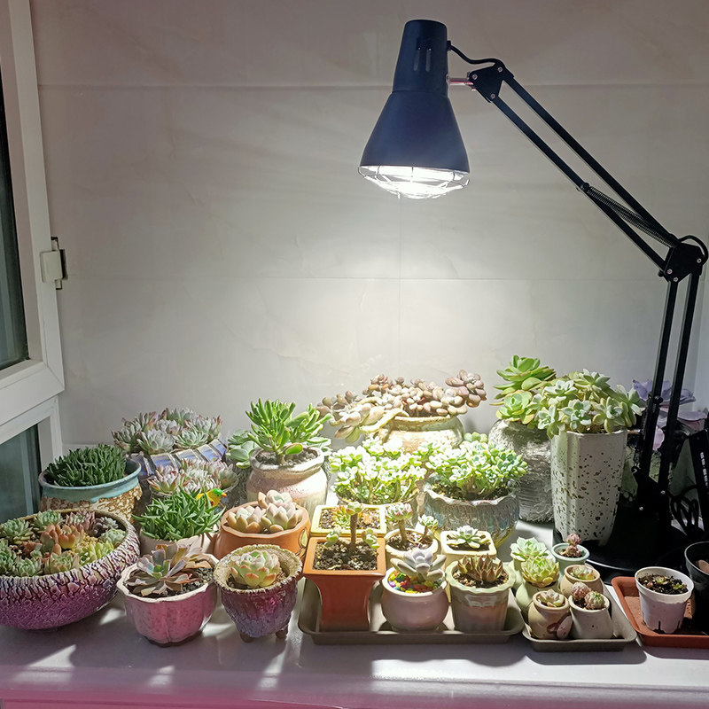 全光谱水草植物补光灯泡led灯鱼缸爆藻生长仿太阳室内花卉苔藓墙