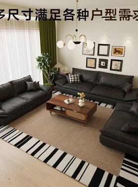 2025新DPG款现代沙简约艺发客厅小沙发小户型双人直船排布轻奢帆