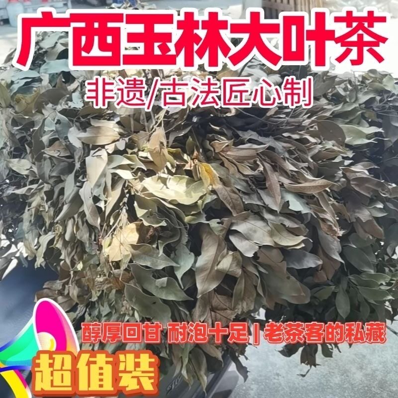 玉林大叶茶野生甜茶非遗手工古法茶醇厚回甘耐泡大排档推芥茶叶