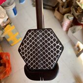 黑檀越胡 成品带皮 越胡