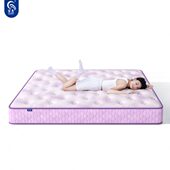 家惠床垫芋见舒适家用双人软垫卧室整网弹簧海绵床垫软硬适中