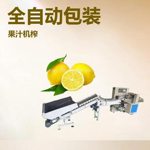 适用水果脐橙赣州脐橙广西沃柑广东香水柠檬枕式装袋机金桔套袋机