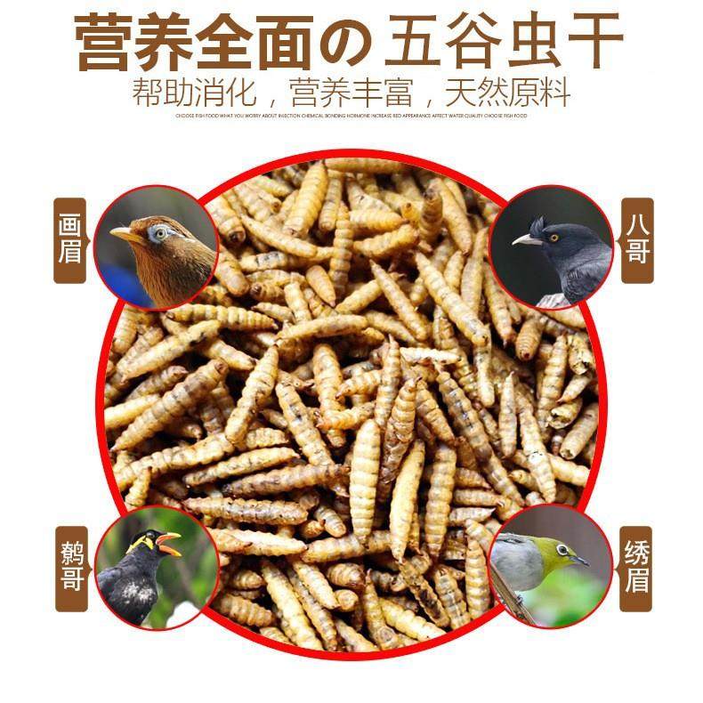 瑞晨微波烘干机 冷冻肉脱水解冻 宠物零食烘干 五谷干燥设备,机械设备,干燥机/干燥箱/烘干机,淘宝优惠券,粉丝福利购,淘宝优惠卷