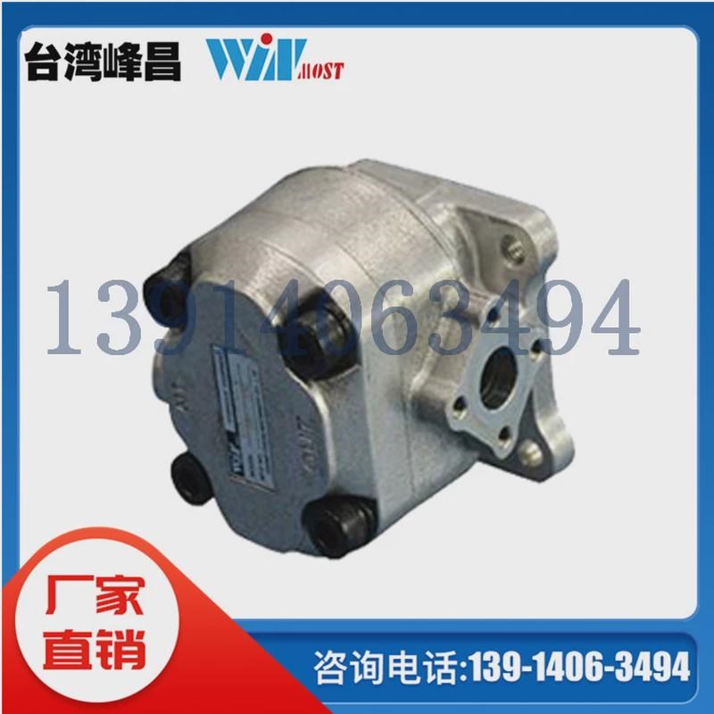 VP-SF-40-D VP-SF-r12-A台湾峰昌WINMOST叶片泵VP-DF EG-PB液压泵