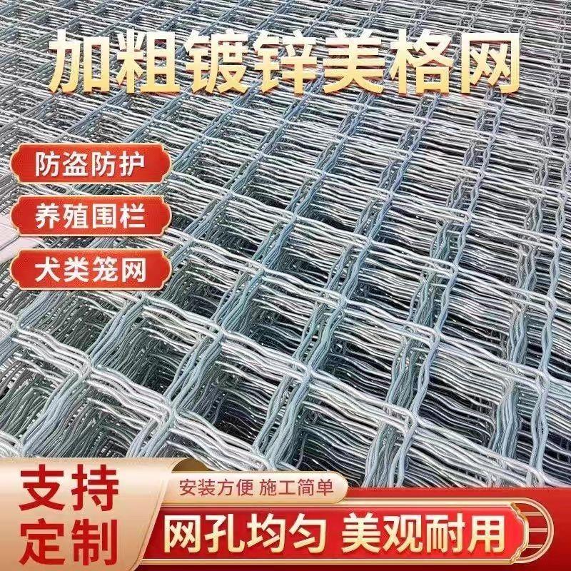 镀锌网片电焊铁丝网养殖