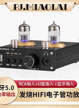 T10家用专业蓝牙电子管HI