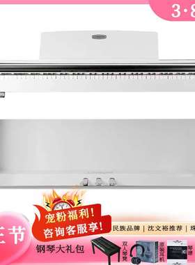 艾茉森 AMASON珠江88键重锤数码智能立式电子钢琴VP119S F10 13 5