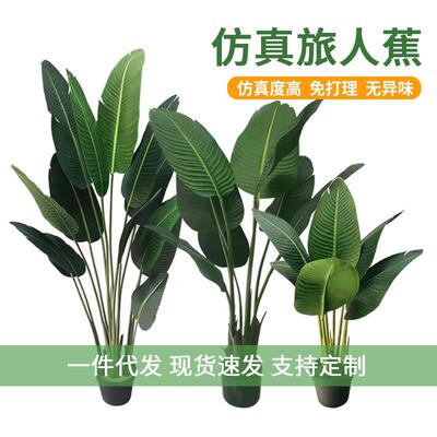 北欧仿真绿植地旅人蕉盆栽美人绿植大型S143HV家居蕉落装植物摆件