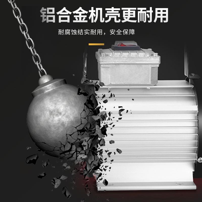 温港抽五金电动抽油泵12v2v2加20v柴油4泵小型油机自吸泵加油152