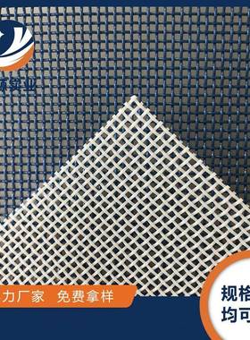 方孔耐高温网带干机厂输送网带聚酯食品烘干直过燥滤塑料网BYV带