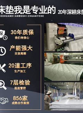 WHH床簧垫家用硬层床垫双弹床垫独立袋装软适中双人乳胶床垫