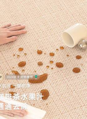 地毯客厅5防202新卧室奶油风免打理水高级纯色沙发qr161202简款约