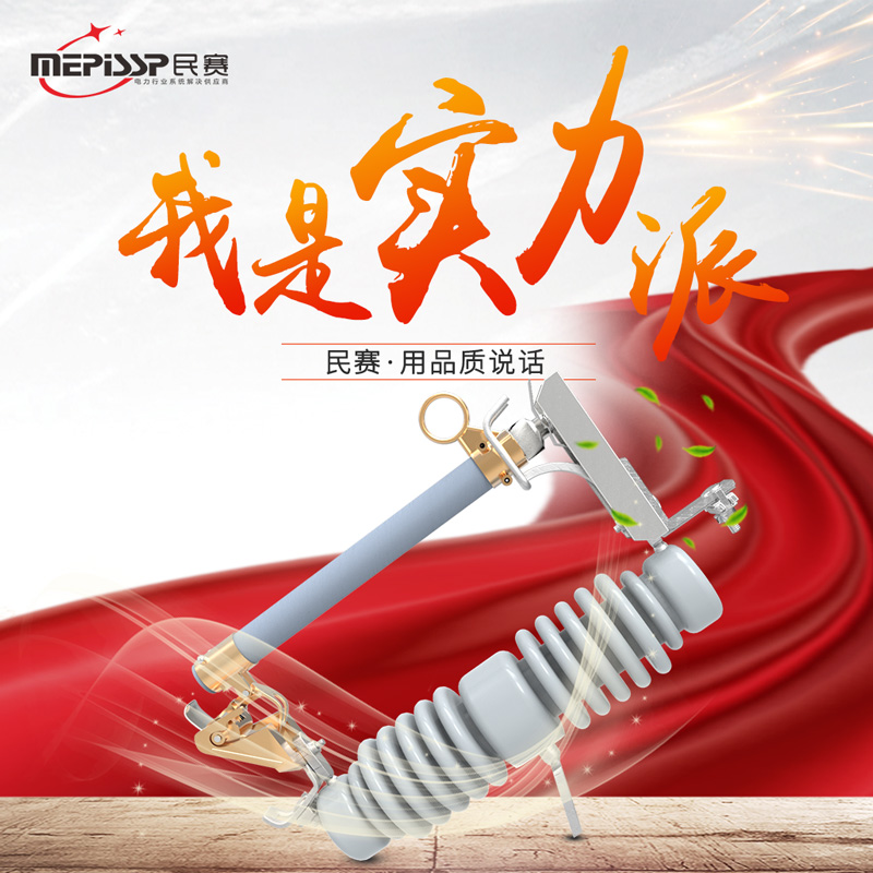 高压户外跌落式熔断器RW12-15/200A跌落式令克开关U保险10KV三只