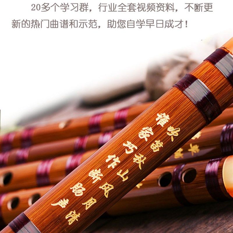初学者入门零基础一节苦竹笛子学生成人儿童男女T横笛教学陈情笛