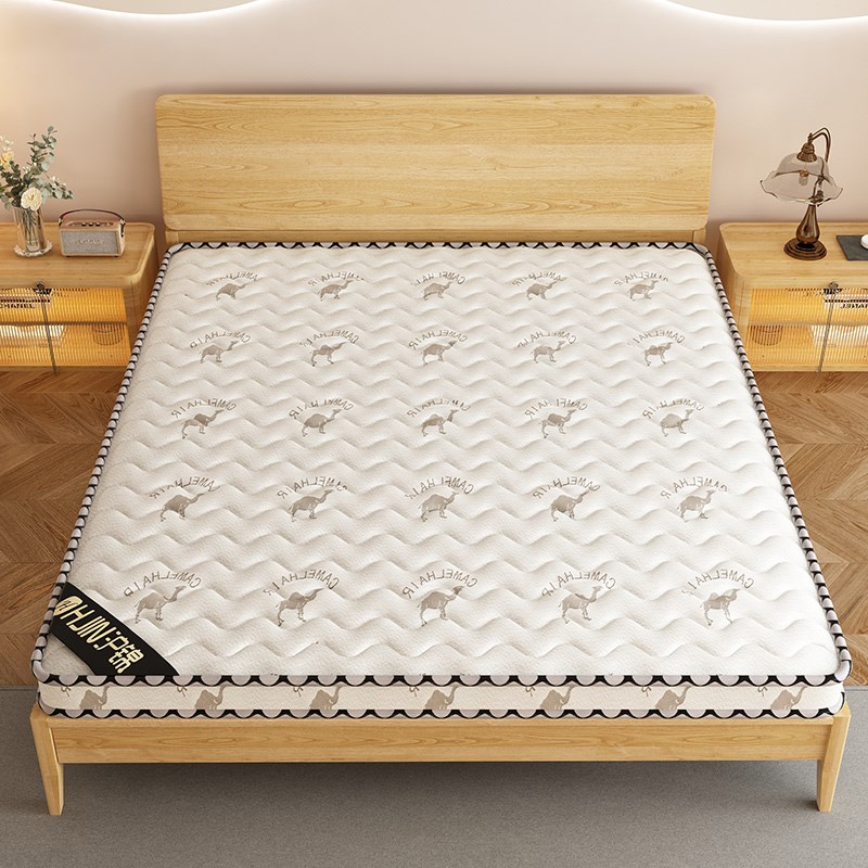 棕垫天然椰棕床垫家用卧室10cm儿童G床垫可折叠榻榻米护脊加硬棕