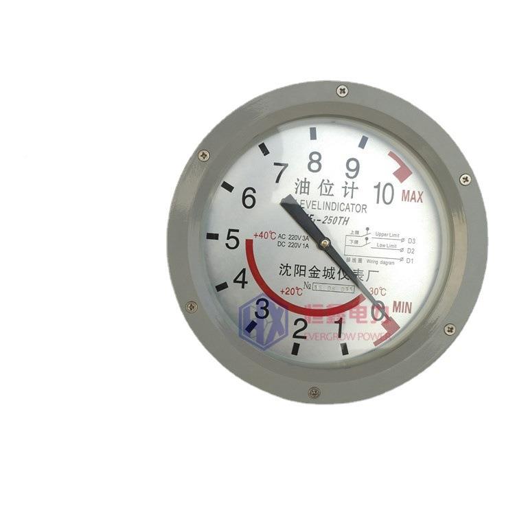 ZF2-661401T75Y20025变0H油枕油位计压器油位计