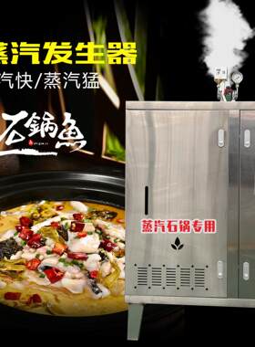 22火排燃气蒸汽发生器7个压石锅鱼餐厅厨房蒸馒头蒸薏米蒸汽锅炉