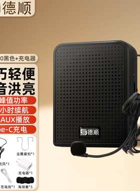 德顺（DESHUN ) 8W黑色小蜜蜂  DS-K300