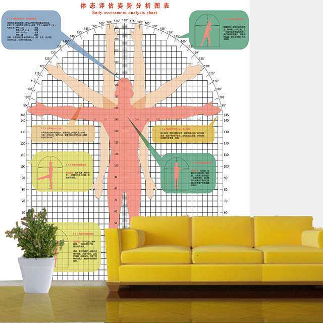 体态评估表系统瑜伽健身私教体测表体位体姿测试图体型评估图壁纸