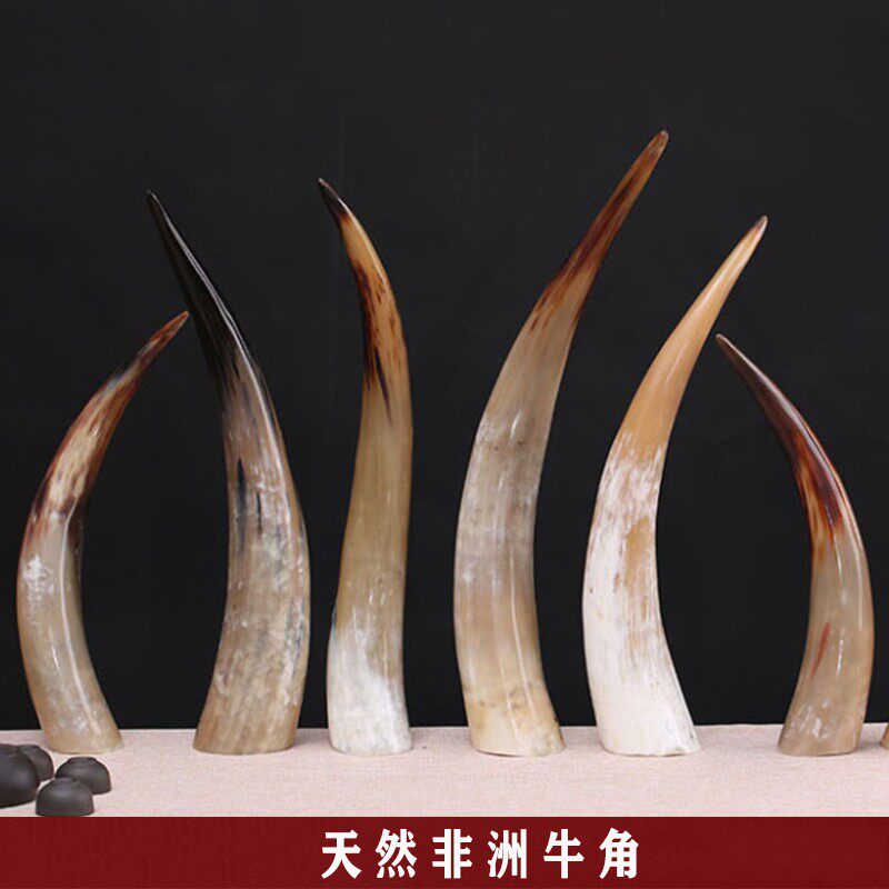 大非洲牛角摆f件天然办公装饰牦牛角工艺品非洲牛角二胡藏族酒杯
