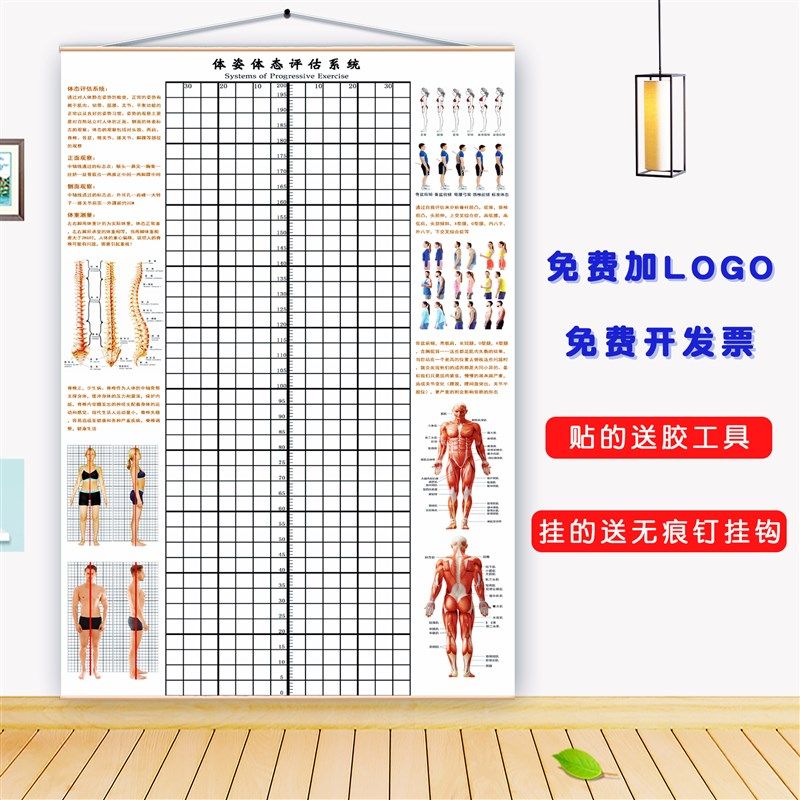 体态评估图健身房体测表瑜伽私教身体形体测评脊椎修复墙壁画装饰