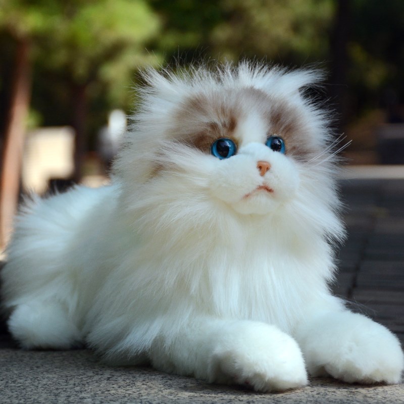 可爱布偶猫玩偶仿真猫抱抱公仔白色小猫咪K毛绒玩具送女生儿童礼