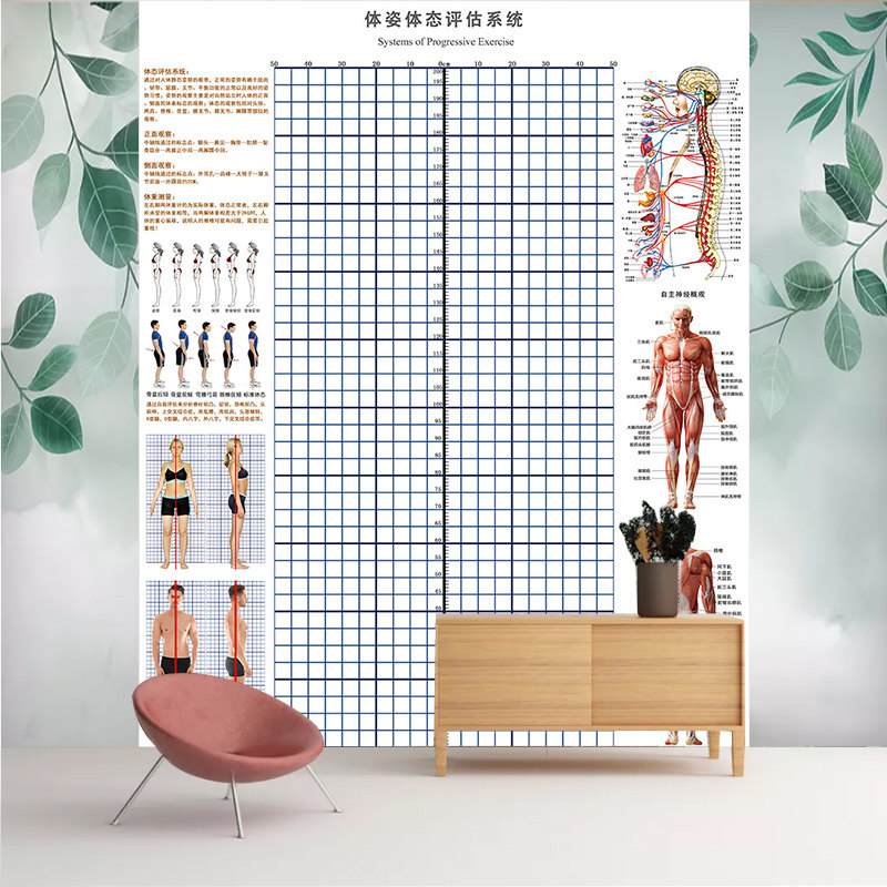 体态评估图站姿评估体测表健身姿势体态图瑜伽体姿体位测评墙壁纸