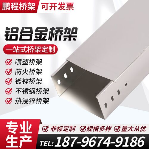 铝合金电缆桥架热浸锌不锈钢u镀锌防火喷塑梯式大跨距线槽200*100