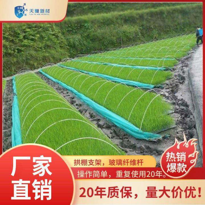 农小拱RVP棚用支架蔬菜种璃植大棚维内棚保温棚多肉花棚玻纤杆骨,农机/农具/农膜,智能温室设备,淘宝优惠券,粉丝福利购,淘宝优惠卷