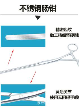 卓跃不锈钢肠钳24优CM直肠钳2栽4CM弯宠物卓优跃24夹耳钳猛犬耳钳