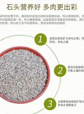 麦饭肉石多肉25FXF公斤多土土培栽基质