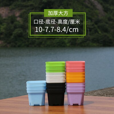 多肉育苗盆小黑方花盆7小彩方塑料10cm大方盆方形简约加厚小白道