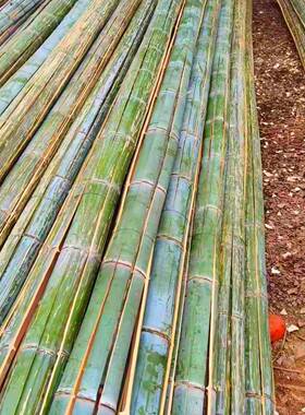 条小竹片坯竹菜棚棚子隔断栅栏竹子蔬菜毛拱架子竹条ZRF竹骨架片