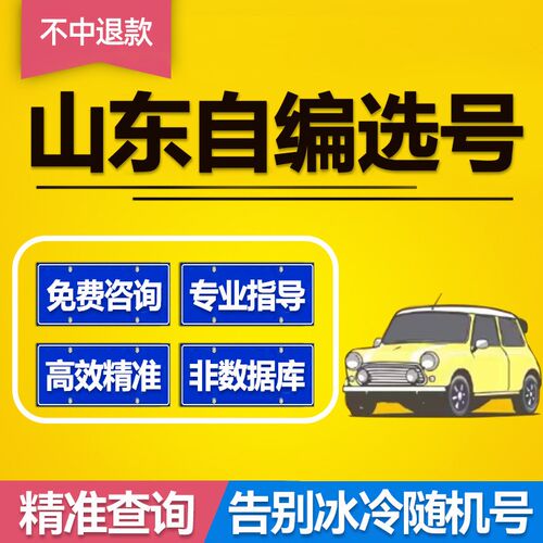 山东济南青岛烟台东营枣庄淄博潍坊车牌选号1212T3自编自选车牌号