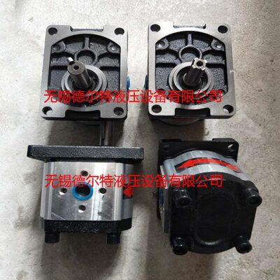 齿轮泵CBTt-F306 CBTt-F310 CBTt-F312 CBTt-F316 CBTt-F320 F313