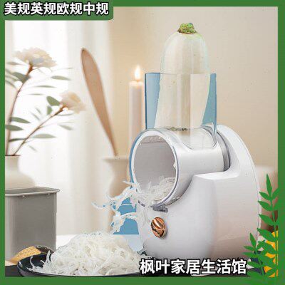 110V220V电动多功能切片切丝器萝卜土豆擦切丝刨丝器蔬菜切片机器