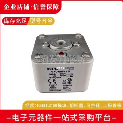 170M5508/5509/5510/5511/5512/5513/5514/5515/5516/17/18熔断器