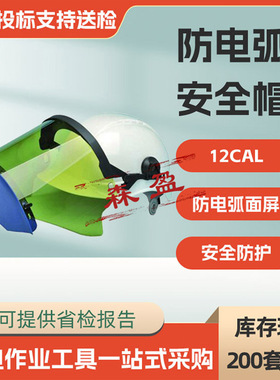 12CAL防电弧安全帽+面屏高压电弧头盔防触电防喷溅头盔面罩