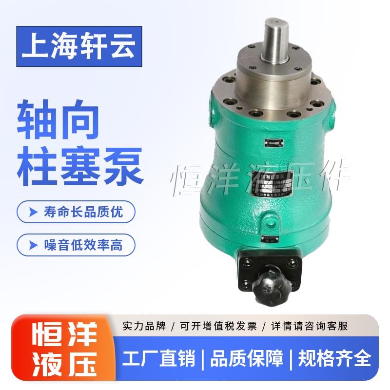 新款上海轩云d10/16/25/32/40/63/80/100/160/250SCY14-1B轴向包