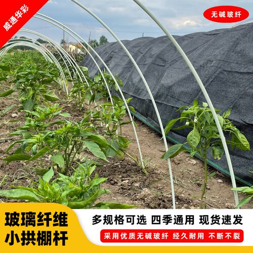 20根拱棚玻纤杆大小支架v菜棚保温棚花棚帐篷农用拱竿骨架实心