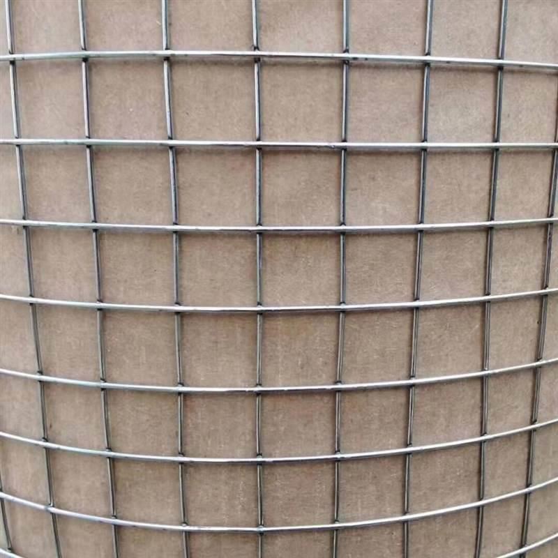 新品镀锌铁丝电焊j网片养殖网围栏网钢丝网狗笼小孔加粗建筑网格