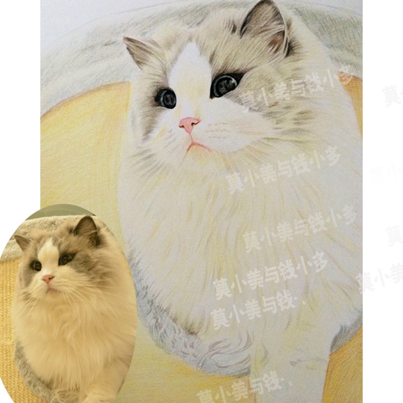 手绘素描定制彩色铅笔萌宠宠物画像动物画肖像彩铅装饰画挂画图片
