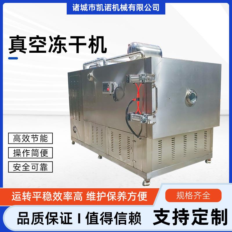 蘑菇松茸菇低温真空冻干设备草莓酸奶柠檬冻干机30平方大型冻干