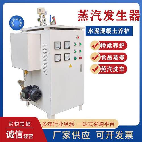 工业用电加热蒸汽发生器食品蒸煮蒸汽锅炉水泥混凝土养护小型商用